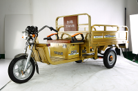Electric tricycles From China