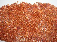 Red Sorghum