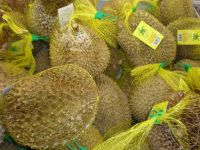 Fresh Durian