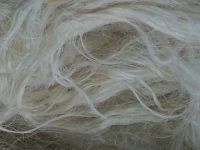 Sisal Fiber UG Grade(Cream White