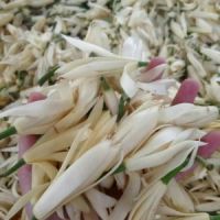 Michelia Flower Oil