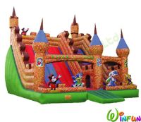 Inflatable Slide(WF-A050