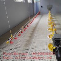 Automatic nipple drinkes for poultry farm