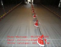 Automatic feeders for poultry farm