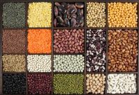 Cereals and Pulses