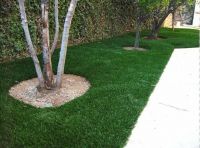 408816V Landscape Artificial Grass