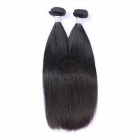 Brazilian Hair Bundles Straight