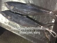 2017 Frozen Spanish Mackerel Whole Round
