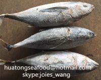 2017 New Popular Frozen Yellow Fin