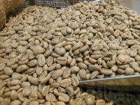 Arabica Coffee Beans