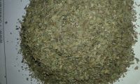 basil crushed( Ocimum basilicum)