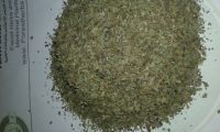 basil crushed( Ocimum basilicum)