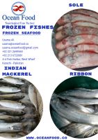 Sole, Ribbon and Indian Mackerel Fish