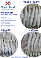 Croaker (Yellow, Silver &amp;amp; Tiger Tooth)