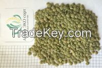 lentils green laird