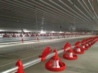 Broiler chicken houseÂ and rearing equipment system