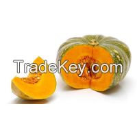 Best Quality Fresh Pumpkins