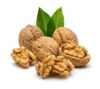 WALNUTS IN SHELL / KERNELS