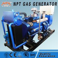 NPT biogas generator 60KW 