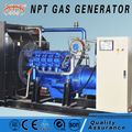 Customized CE 150kW generator propane powered for sale 