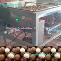 automatic macadamia nut tapping machine/macadamia nut opening machine/macadamia nut cracker machine From China