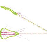 Brine Girls&#039; Allure Lacrosse Stick 