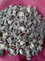 Crushed Oyster Shell