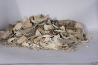 Grit Oyster Shell