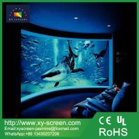 Customized Fixed Curved Frame Projector Screen/Cinema Frame Projector Screen for Home Theatres