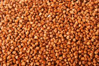 buckwheat, crop 2017 Russian origin