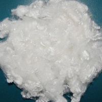 Hollow Conjugated Non-Silicone Recycled Polyester