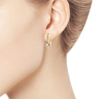 Gold Earrings With Diamonds