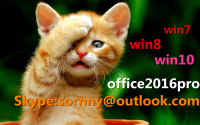 Win7 Pro Coa Loble Sticker License