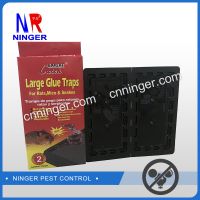 Paper Board Rat&Mouse Glue