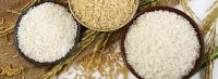 1121 BASMATI AND NON BASMATI