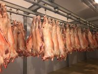 Lamb fresh carcass From Romania