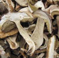 Dried Boletus Edulis sliced