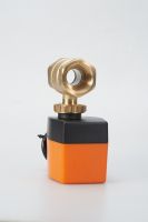 Stainless Steel 2-way & 3-way Motorized Ball Valve  From China