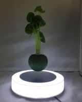 Plastic base magnetic floating air bonsai plant with led light