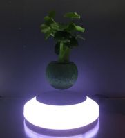 magnetic floating live bonsai tree with led light 0-300g