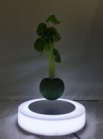 Plastic base magnetic floating air bonsai plant with led light From China