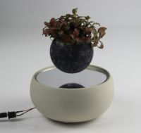 Ceramic base magnetic air bonsai for gift 0-300g From China