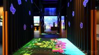 Interactive Software: Dynamic Ground