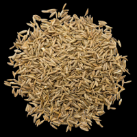 cumin seed
