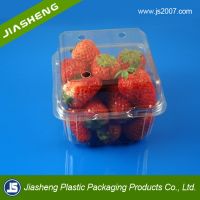China Suppliers Biodegradable Food Grade Plastic Transparent Fresh Fruit Container