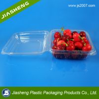 China Suppliers Biodegradable Food Grade Plastic Transparent Fresh Fruit Container