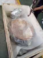 Rays Wafer / Lug Butterfly Valve (HP) From China