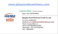 Woodworking Machine for Panel Furniture Sliding Table Saw