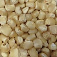 High Quality Raw Maize Corn Yellow White