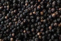 Black Pepper and White Pepper Seeds